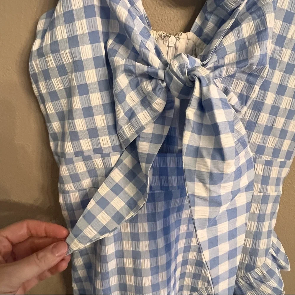 Petal & Pup Blue and White Gingham Tie-Front Mini Dress - Picture 7 of 8